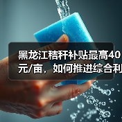 黑龙江秸秆补贴最高40元/亩,如何推进综合利用?(图1) 黑龙江秸秆补贴最高40元/亩,如何推进综合利用?(图1)
