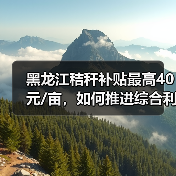 黑龙江秸秆补贴最高40元/亩,如何推进综合利用?(图4) 黑龙江秸秆补贴最高40元/亩,如何推进综合利用?(图4)