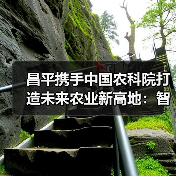昌平携手中国农科院打造未来农业新高地:智慧农业与生物育种如何引领产业升级?(图4) 昌平携手中国农科院打造未来农业新高地:智慧农业与生物育种如何引领产业升级?(图4)