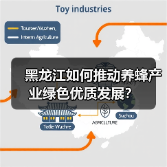 黑龙江如何推动养蜂产业绿色优质发展?(图3) 黑龙江如何推动养蜂产业绿色优质发展?(图3)