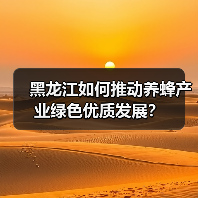 黑龙江如何推动养蜂产业绿色优质发展?(图1) 黑龙江如何推动养蜂产业绿色优质发展?(图1)