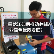 黑龙江如何推动养蜂产业绿色优质发展?(图4) 黑龙江如何推动养蜂产业绿色优质发展?(图4)