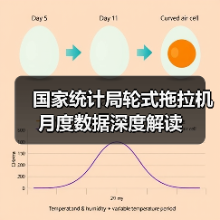 国家统计局轮式拖拉机月度数据深度解读（图1）