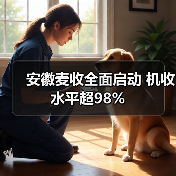 安徽麦收全面启动 机收水平超98%(图1) 安徽麦收全面启动 机收水平超98%(图1)