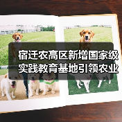 宿迁农高区新增国家级实践教育基地引领农业创新升级(图4) 宿迁农高区新增国家级实践教育基地引领农业创新升级(图4)