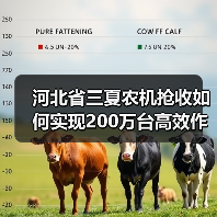 河北省三夏农机抢收如何实现200万台高效作业?(图1) 河北省三夏农机抢收如何实现200万台高效作业?(图1)