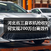 河北省三夏农机抢收如何实现200万台高效作业?(图3) 河北省三夏农机抢收如何实现200万台高效作业?(图3)