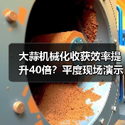 大蒜机械化收获效率提升40倍?平度现场演示揭秘(图4) 大蒜机械化收获效率提升40倍?平度现场演示揭秘(图4)