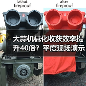 大蒜机械化收获效率提升40倍?平度现场演示揭秘(图1) 大蒜机械化收获效率提升40倍?平度现场演示揭秘(图1)