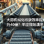 大蒜机械化收获效率提升40倍?平度现场演示揭秘(图3) 大蒜机械化收获效率提升40倍?平度现场演示揭秘(图3)