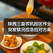 陕西三夏农机跨区作业突发情况应急应对方案(图3) 陕西三夏农机跨区作业突发情况应急应对方案(图3)