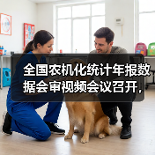 全国农机化统计年报数据会审视频会议召开，数据质量如何保障？（图4）