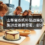 山东省农机补贴政策实施进度差异显著，部分市落后（图2）
