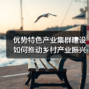 优势特色产业集群建设如何推动乡村产业振兴？（图4）