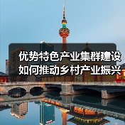 优势特色产业集群建设如何推动乡村产业振兴？（图2）