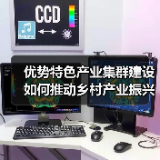 优势特色产业集群建设如何推动乡村产业振兴？（图3）