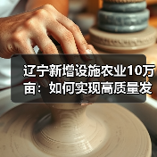 辽宁新增设施农业10万亩：如何实现高质量发展？（图4）