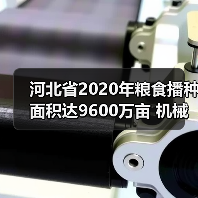 河北省2020年粮食播种面积达9600万亩 机械化率超83%如何保障丰收（图4）
