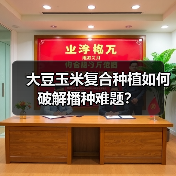 大豆玉米复合种植如何破解播种难题？（图3）