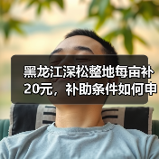 黑龙江深松整地每亩补20元，补助条件如何申请？（图1）