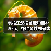 黑龙江深松整地每亩补20元，补助条件如何申请？（图4）