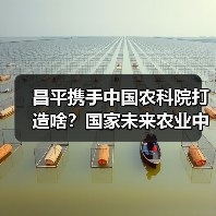 昌平携手中国农科院打造啥？国家未来农业中心来了！（图4）