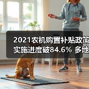 2021农机购置补贴政策实施进度破84.6% 多地资金见底（图4）