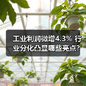 工业利润微增4.3% 行业分化凸显哪些亮点？（图1）