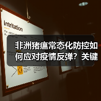 非洲猪瘟常态化防控如何应对疫情反弹？关键措施解析（图3）