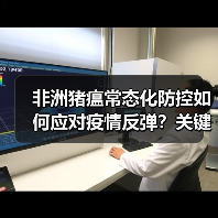 非洲猪瘟常态化防控如何应对疫情反弹？关键措施解析（图2）