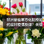 非洲猪瘟常态化防控如何应对疫情反弹？关键措施解析（图1）