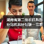 湖南省第二批农机购置补贴机具补贴额一览表公示（图2）