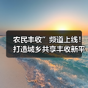 农民丰收”频道上线！打造城乡共享丰收新平台（图4）