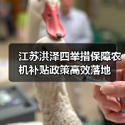 江苏洪泽四举措保障农机补贴政策高效落地（图1）