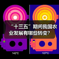 “十三五”期间我国农业发展有哪些转变？（图3）