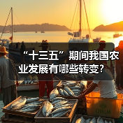 “十三五”期间我国农业发展有哪些转变？（图4）