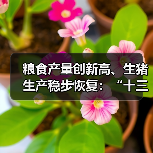 粮食产量创新高、生猪生产稳步恢复:“十三五”收官之年农业农村发展稳定向好(图4) 粮食产量创新高、生猪生产稳步恢复:“十三五”收官之年农业农村发展稳定向好(图4)