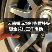 云南镇沅农机购置补贴资金兑付工作启动(图4) 云南镇沅农机购置补贴资金兑付工作启动(图4)
