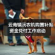 云南镇沅农机购置补贴资金兑付工作启动(图2) 云南镇沅农机购置补贴资金兑付工作启动(图2)