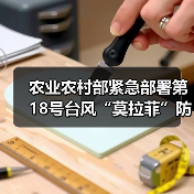 农业农村部紧急部署第18号台风“莫拉菲”防御工作(图4) 农业农村部紧急部署第18号台风“莫拉菲”防御工作(图4)
