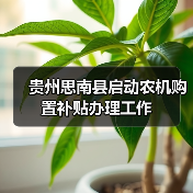贵州思南县启动农机购置补贴办理工作(图3) 贵州思南县启动农机购置补贴办理工作(图3)