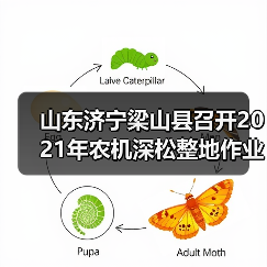 山东济宁梁山县召开2021年农机深松整地作业补助工作推进会（图2）
