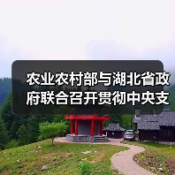 农业农村部与湖北省政府联合召开贯彻中央支持湖北农业农村发展政策落实推进会（图4）
