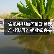 农机补贴如何推动苜蓿产业发展?奶业振兴关键在哪(图4) 农机补贴如何推动苜蓿产业发展?奶业振兴关键在哪(图4)