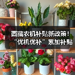 西藏农机补贴新政策!“优机优补”累加补贴如何推进?(图2) 西藏农机补贴新政策!“优机优补”累加补贴如何推进?(图2)