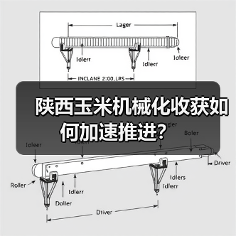 陕西玉米机械化收获如何加速推进？（图4）