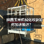 陕西玉米机械化收获如何加速推进？（图2）