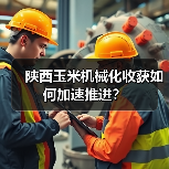 陕西玉米机械化收获如何加速推进？（图1）