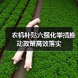 农机补贴六强化举措推动政策高效落实(图3) 农机补贴六强化举措推动政策高效落实(图3)