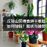 丘陵山区粮食烘干难题如何破解?现状与破局之道(图4) 丘陵山区粮食烘干难题如何破解?现状与破局之道(图4)